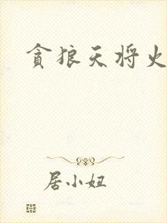 贪狼天将火影行