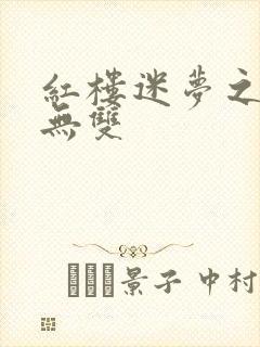 红楼迷梦之国士无双