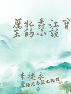 厉北爵江宝宝男主的小说