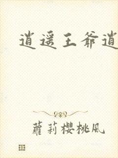 逍遥王爷逍遥妃