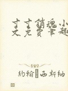 寸寸销魂小说全文免费笔趣阁