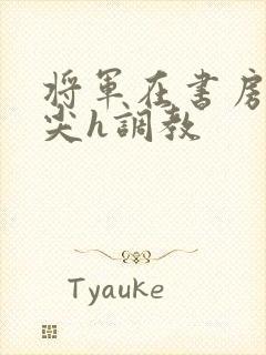 将军在书房含乳尖h调教