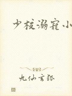 少校溺宠小小妻