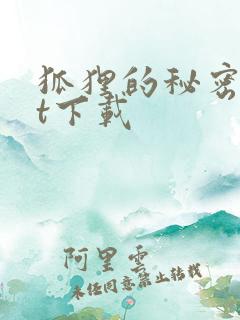 狐狸的秘密txt下载