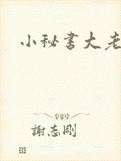 小秘书大老婆
