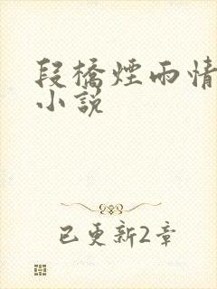 段桥烟雨情难离小说