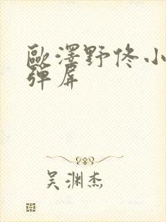 欧泽野佟小曼无弹屏