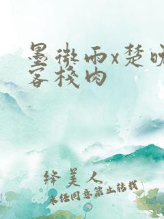 墨微雨x楚晚宁客栈肉