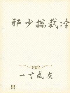 邪少总裁冷心秘