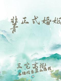 非正式婚姻雾里青