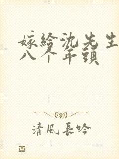 嫁给沈先生的第八个年头