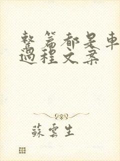 整篇都是车的肉过程文案