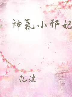 神气小邪妃