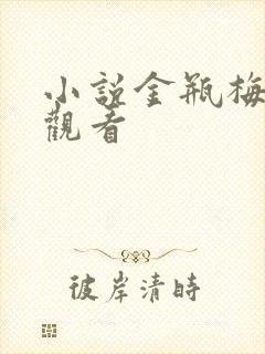 小说金瓶梅在线观看