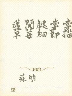 迈开腿尝尝你的草莓细节描写