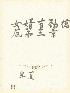 女婿有劲枪枪到底第三章