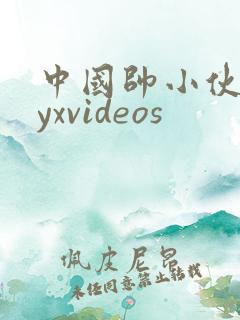 中国帅小伙gayxvideos