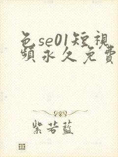 色se01短视频永久免费