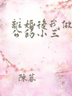 离婚后我做了老公的小三
