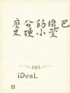 么公的机巴又粗又硬小莹