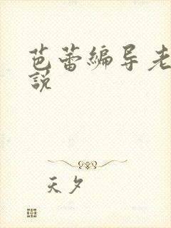 芭蕾编导老师小说