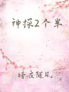 神探2个半