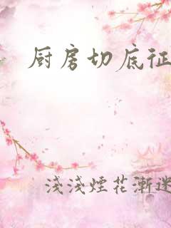 厨房切底征服岳