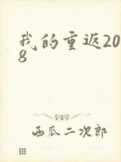 我的重返2008