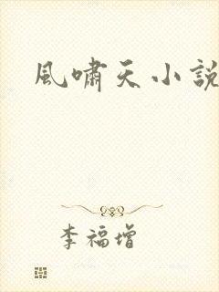 风啸天小说