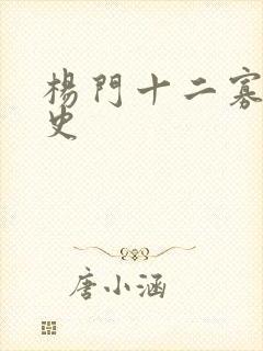 杨门十二寡妇艳史