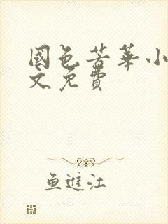 国色芳华小说全文免费