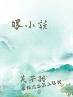 眼小说