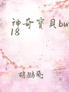 神奇宝贝bw118