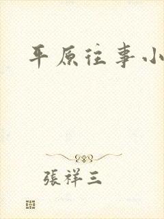 平原往事小说