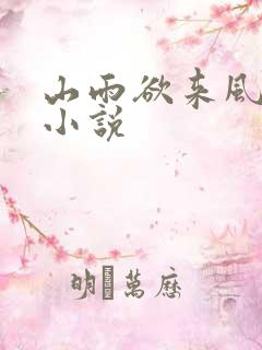 山雨欲来风满楼小说