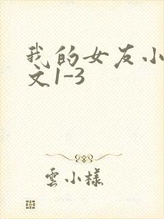 我的女友小洁全文1-3