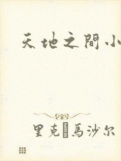天地之间小说