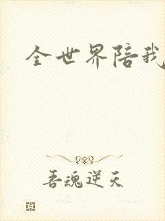 全世界陪我终结