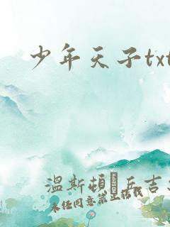 少年天子txt