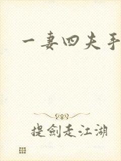 一妻四夫手记