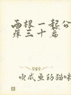 两根一起公憩止痒三十篇