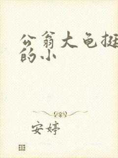 公翁大龟挺进我的小