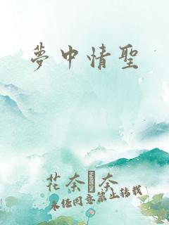 梦中情圣