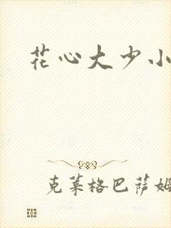 花心大少小说