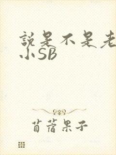 说是不是老公的小SB