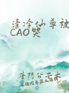 清冷仙尊被强制CAO哭