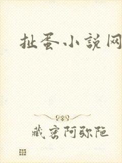 扯蛋小说网