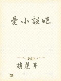 爱小说吧