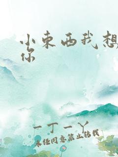 小东西我想弄坏你