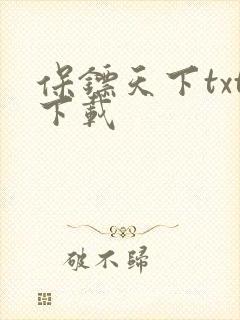 保镖天下txt下载